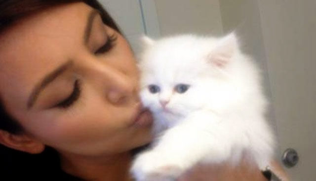 Kim Kardashian’s Adorable Kitten Has Died